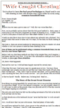 Mobile Screenshot of howtocatchcheating.com